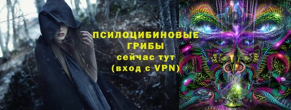соль ск Михайловск