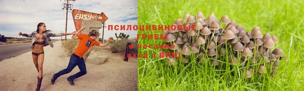 метамфетамин Апатиты